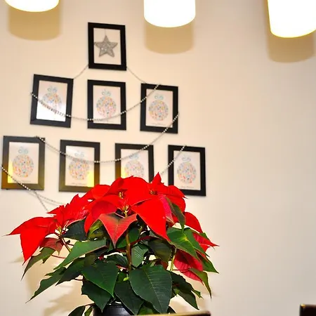 Alexandar's Place Apartment